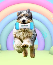 PETSYLO™ SMART INTERACTIVE DOG TOY