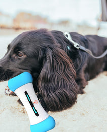 PETSYLO™ SMART INTERACTIVE DOG TOY