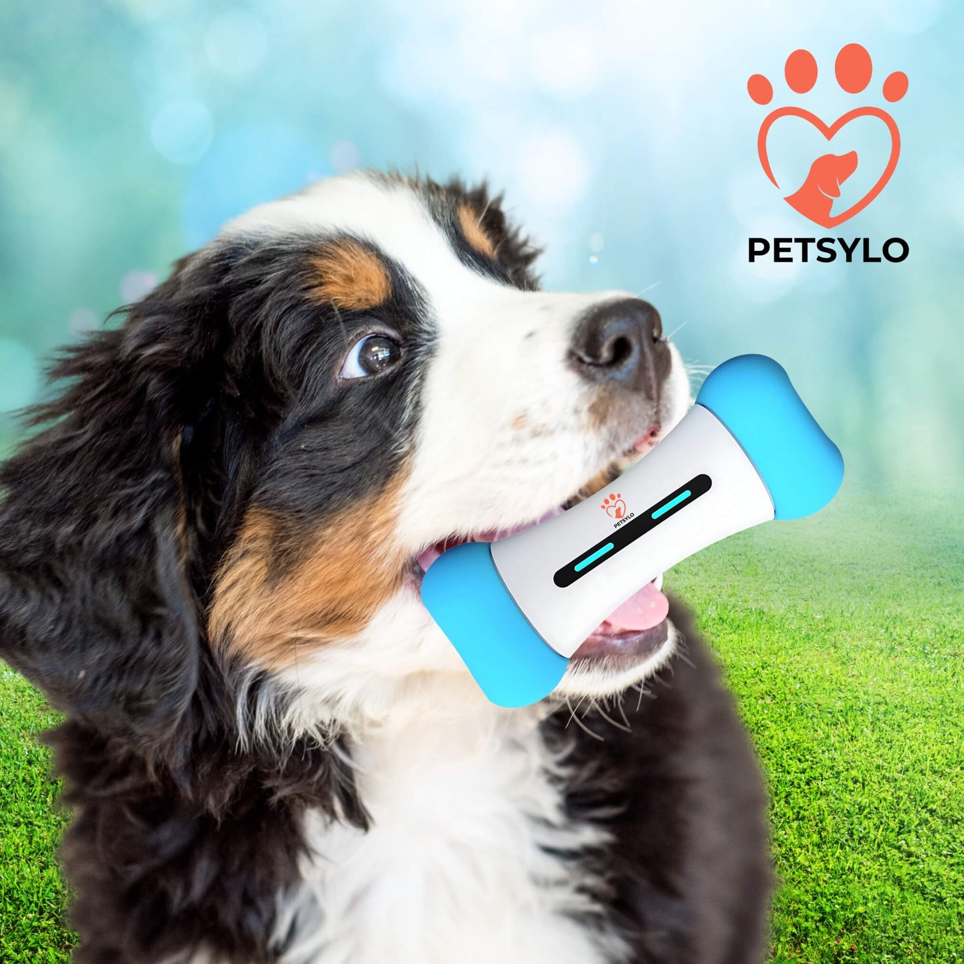 PETSYLO™ SMART INTERACTIVE DOG TOY