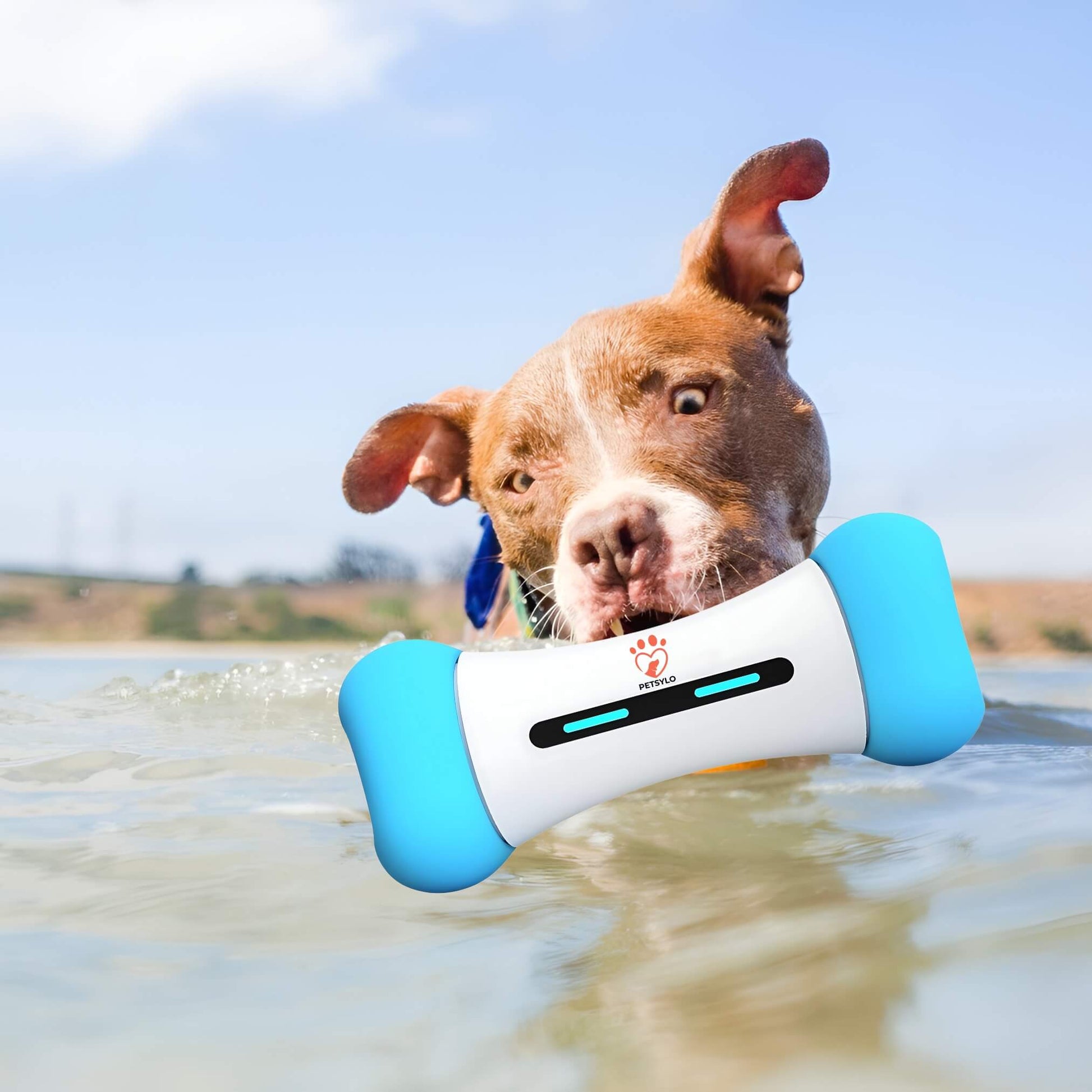 PETSYLO™ SMART INTERACTIVE DOG TOY