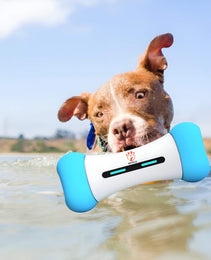 PETSYLO™ SMART INTERACTIVE DOG TOY